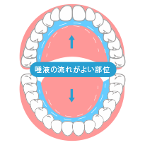 むし歯になりにくい