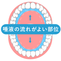 むし歯になりにくい